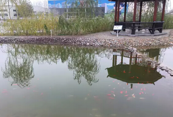 下雪天的躍迪集團(tuán)，咱也跟跟風(fēng)。。。