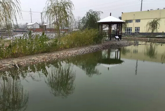 下雪天的躍迪集團(tuán)，咱也跟跟風(fēng)。。。