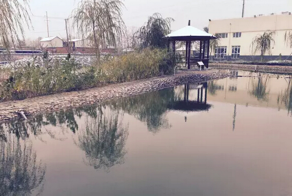 下雪天的躍迪集團(tuán)，咱也跟跟風(fēng)。。。