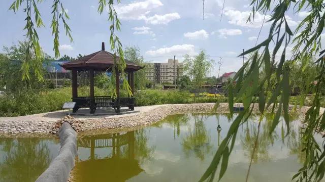 躍迪十年發(fā)展引人贊，百年躍迪輝煌令人盼